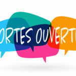 Portes ouvertes de l'atelier d'Élodie Cariou : une immersion dans l'univers du livre d'artiste